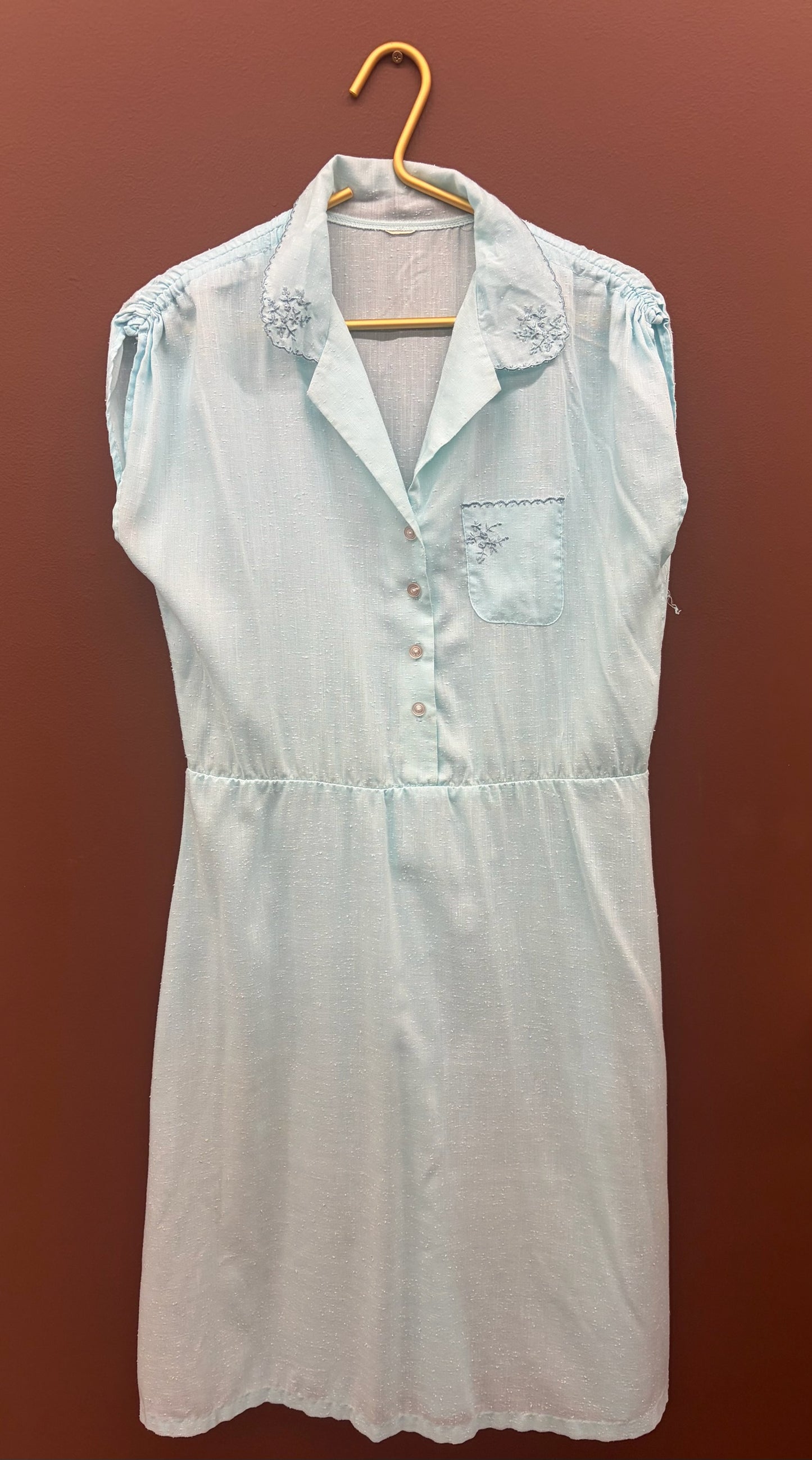 Vintage Blue House Dress