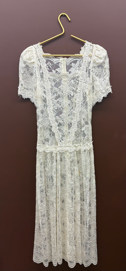 Drop Waist Lace Overlay Dress