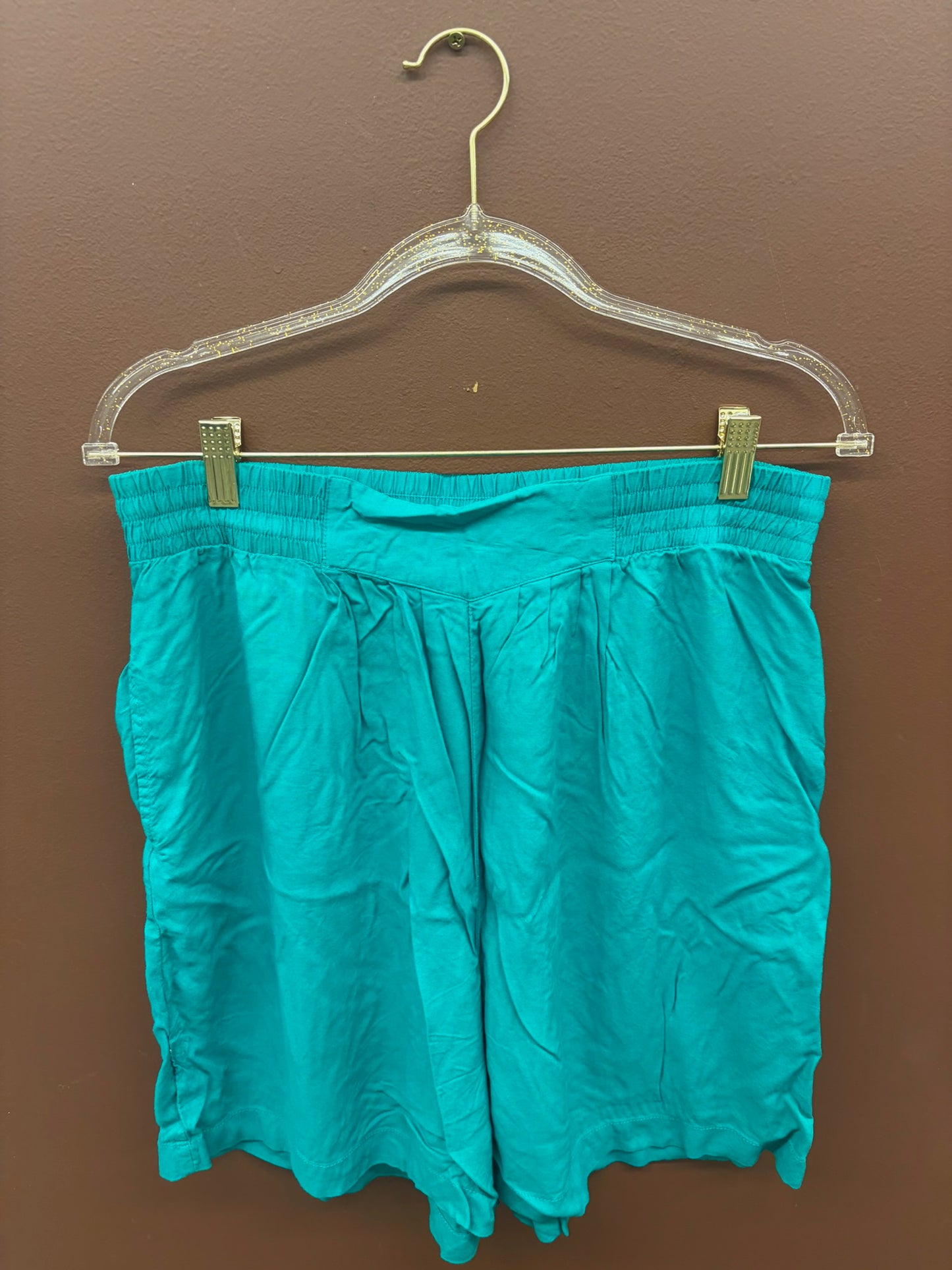 90’s Turquoise Shorts