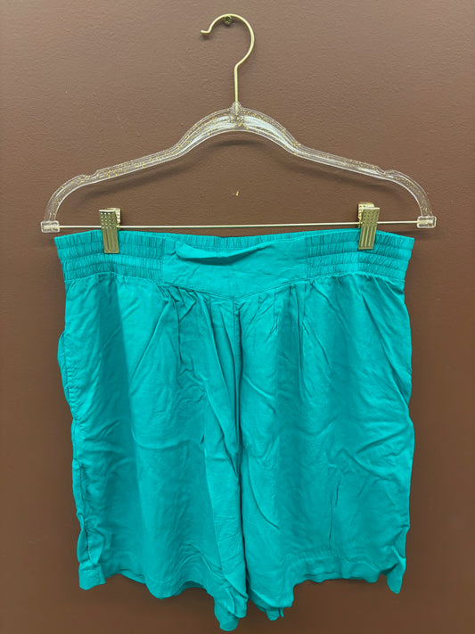 90’s Turquoise Shorts