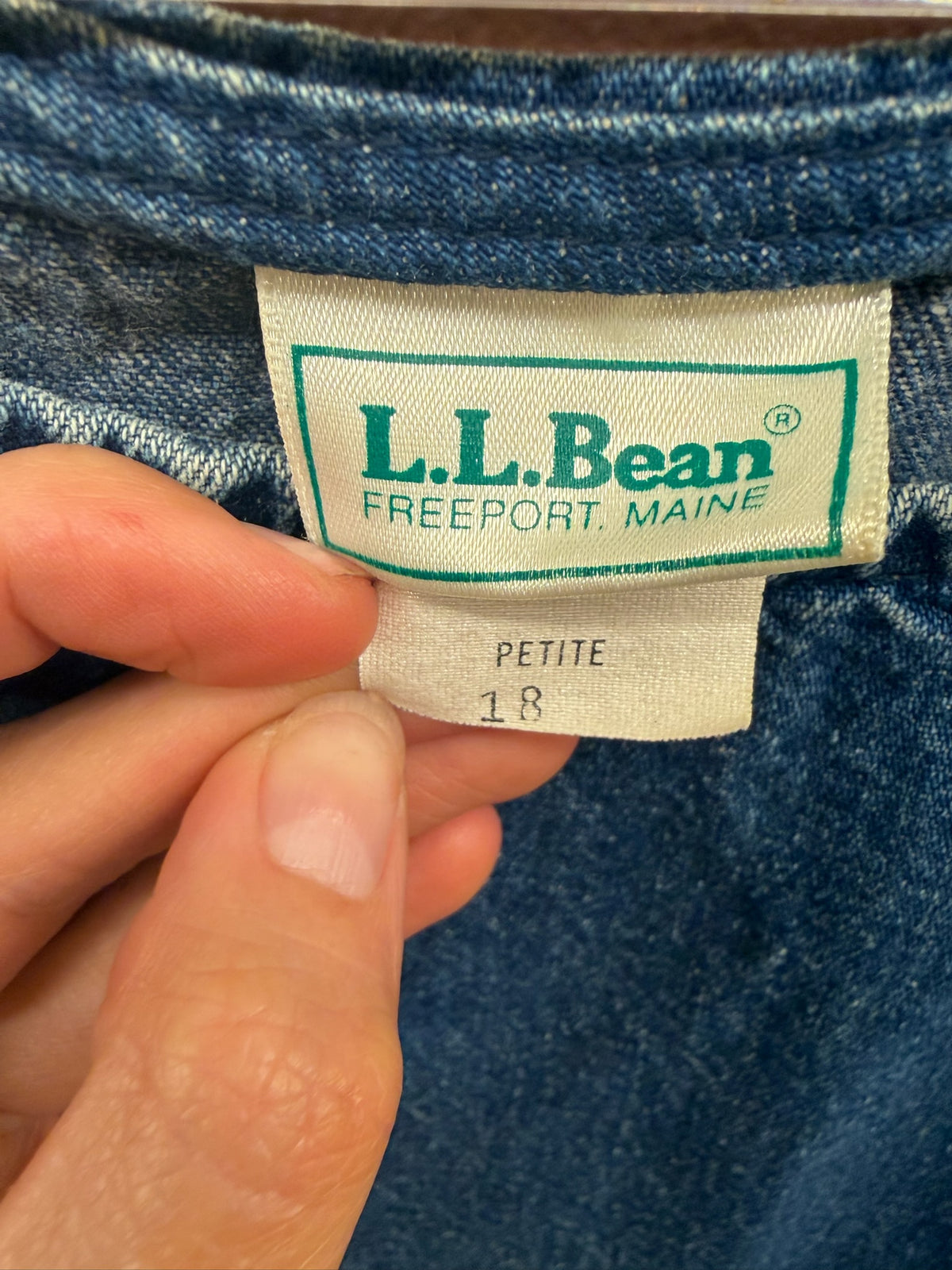 LL Bean Denim Tank Dress